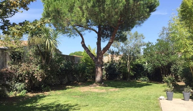 Charming house in Portes en Ré
