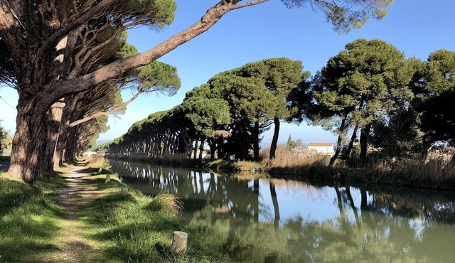 Charming house on Canal du Midi near Narbonne and 30 minutes from the sea