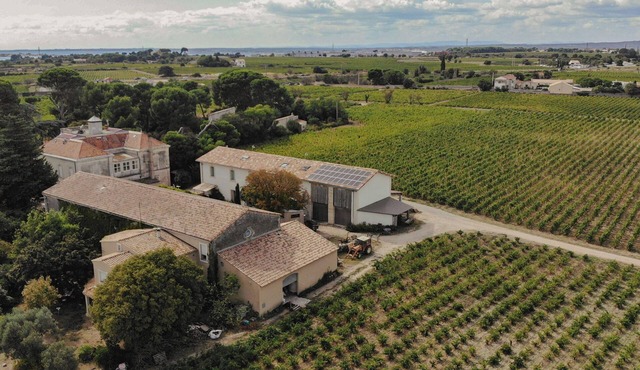 Charming house in an organic wine estate