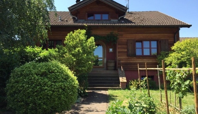 Charming house in a garden in the heart of Alsace near Colmar