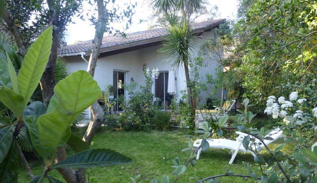 Charming house, in a green setting, on the Landaise Coast