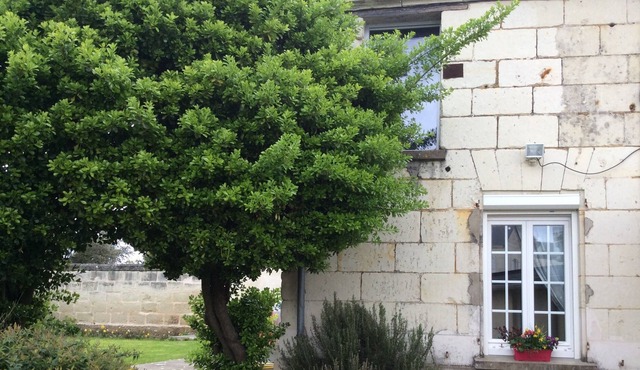 Charming house in a winegrowers' village