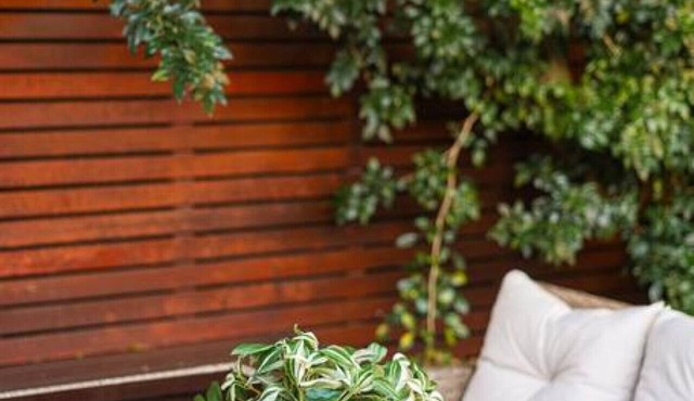 Charming house in Leichhardt