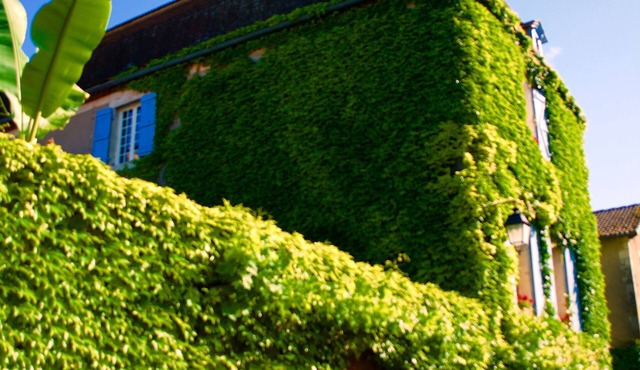 Charming house in the heart of Castelfranc