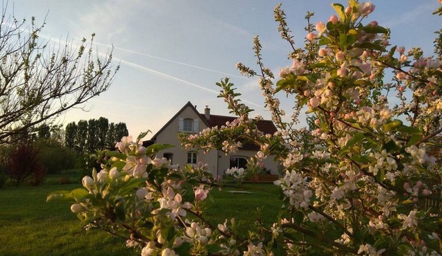 Charming house in the heart of the castles of the Loire in Villandry