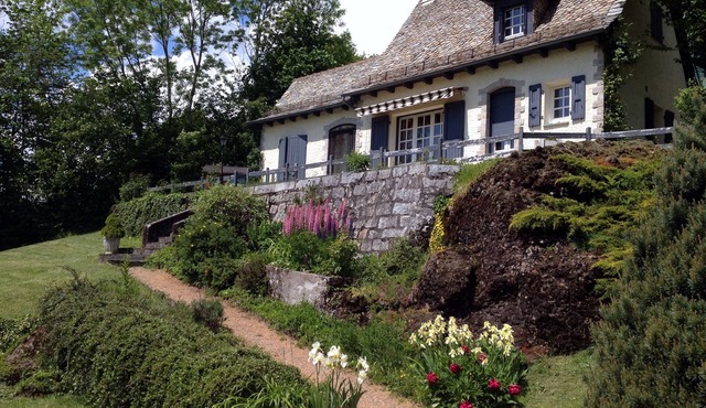 Charming house in Vic Sur Cère