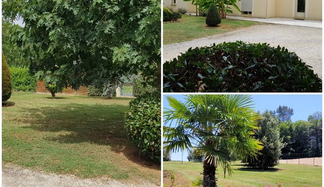 Charming house near Sarlat for 10 people