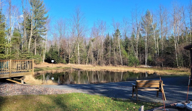 Charming house on wooded acreage near Sackett Lake with high speed internet, AC