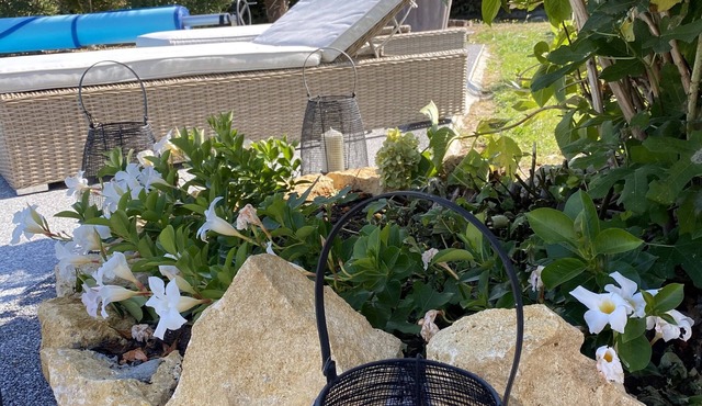 Charming house with swimming pool surrounded by vineyards