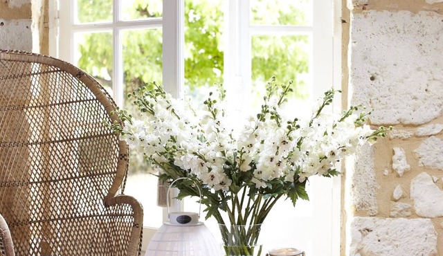 Charming house with a view on the vineyards