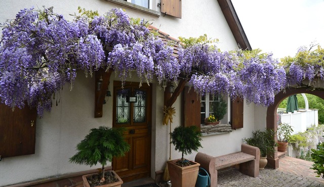 Charming house with private pool 4 ⭐️