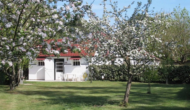 Charming house with large enclosed garden, at the foot of the dunes â 4 km from the ocean