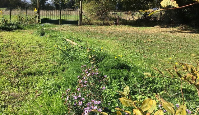 Charming house with private sauna