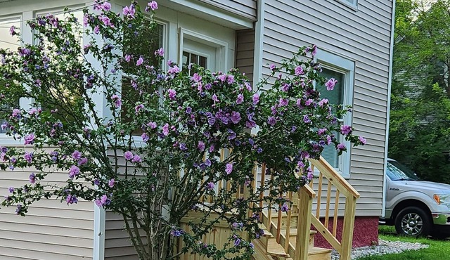 Charming in Albion, MI