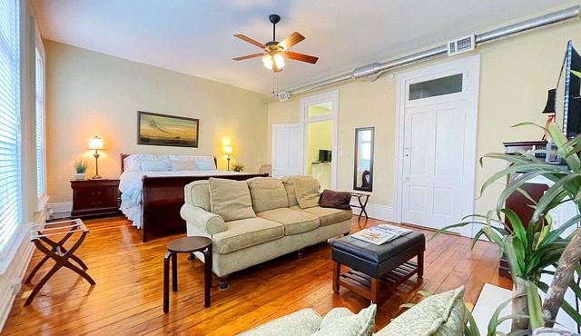 Charming & Inviting Apartment in Historic Downtown Paris, Ky.