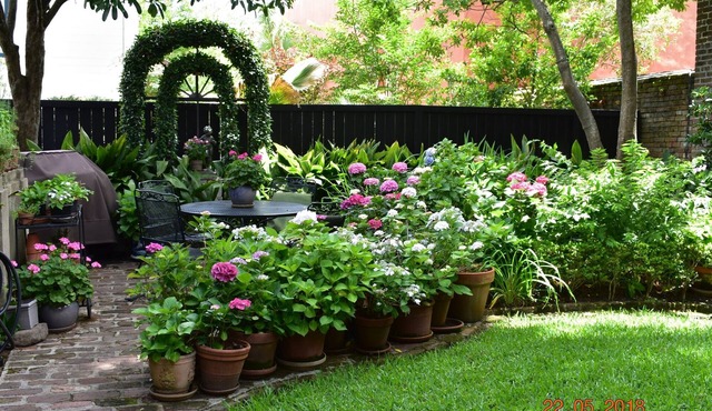 Charming Kitchen House with Beautiful Garden