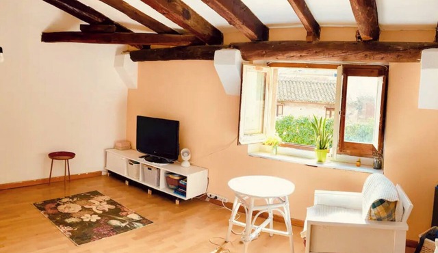 Charming Little Studio in the Historic Center