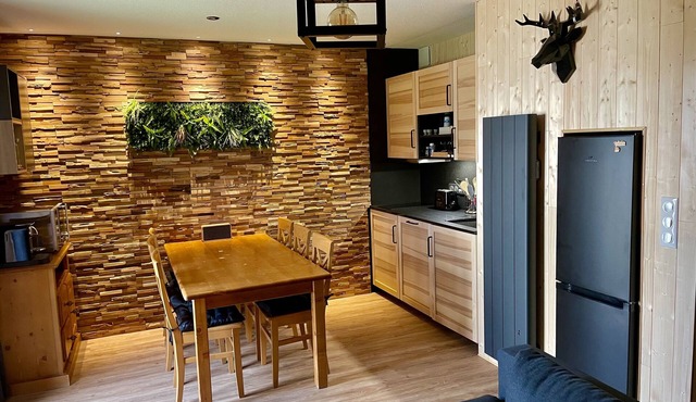 Charming La Joue Du Loup chalet (sleeps 6 to 8) 300 meters from the slopes