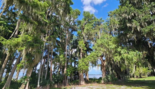 Charming Lake Front Apartment