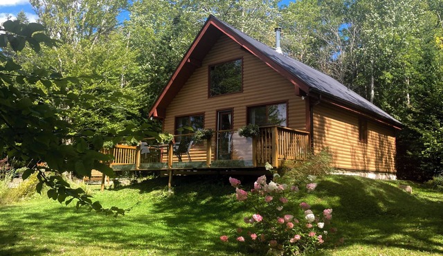 Charming Lakefront Retreat | Unplug at Luna Rosa Chalet