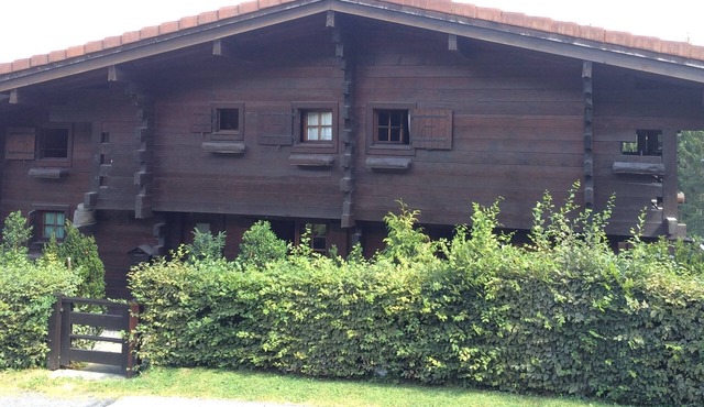 Charming large chalet with breathtaking Mont Blanc Views