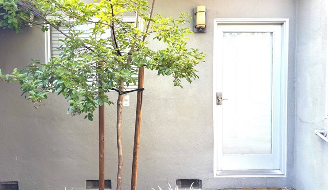 Charming Large Quiet 1-bedroom Guest Home in Palo Alto