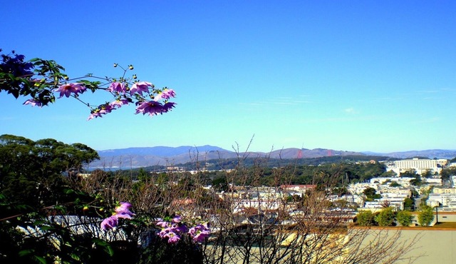 Charming Large Studio With Expansive View