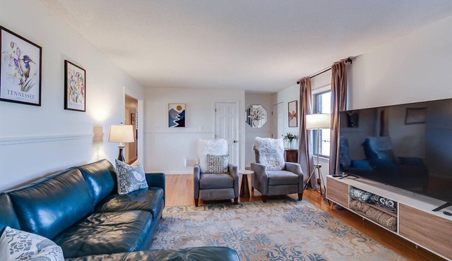 Charming level 3-BR,2Ba house in Johnson City with WiFi, AC, views, pet friendly