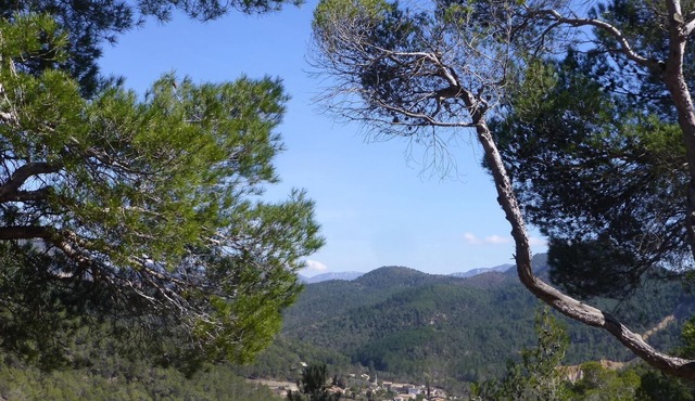 Charming little Provencal country house in a quiet location with private pool