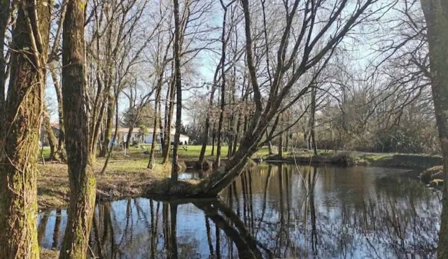 Charming little house in the countryside
