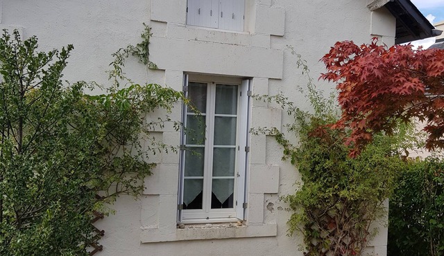 Charming little house