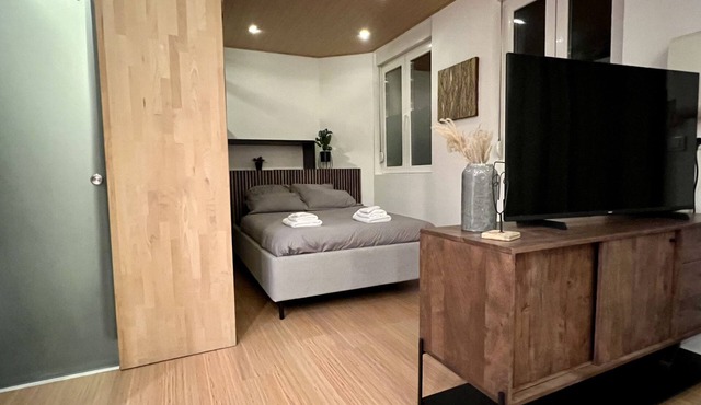 Charming little Loft Mulhouse center