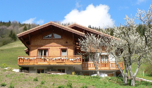 Charming little nest in the mountains