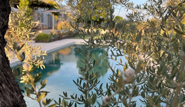 Charming lodge near Lourmarin, olive grove pool and 11kW recharging point