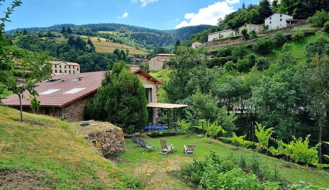 Charming lodge with terrace, billiards, and pets allowed