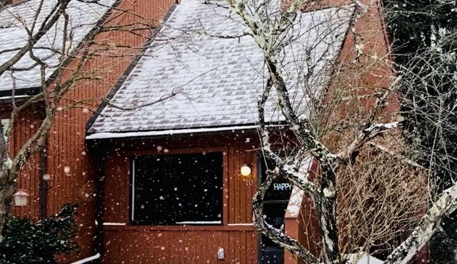 Charming Loft Cabin - Best Location Davis, Thomas, Canaan Valley. Cold AC