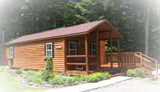 Charming Log Cabin in Sackets Harbor, NY, free internet, great location, privacy