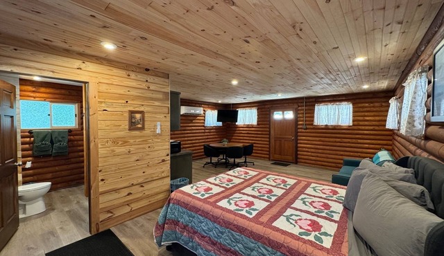 Charming log cabin on back gravel road with peace, quiet & the amenities of home