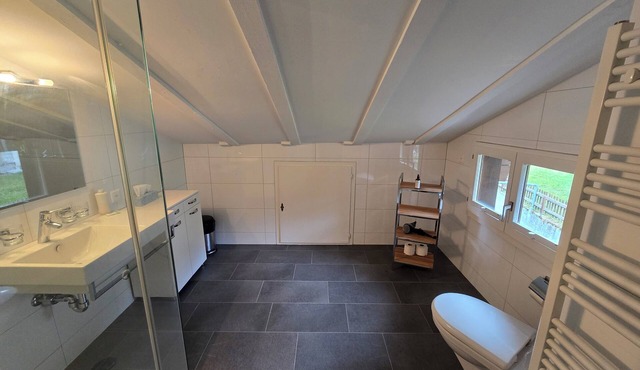 Charming Louisa Roof in the Swiss mountains