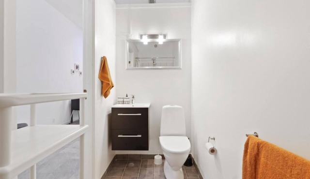 Charming - Luxurious 1 bedroom apartment in The Heart of Aalborg