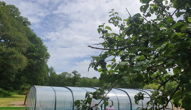 Charming Manoir du Ster gîte with heated indoor swimming pool