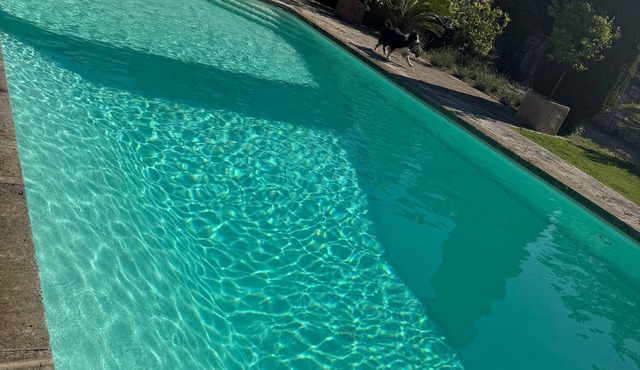 CHARMING MAS IN THE HEART OF THE VILLAGE OF COLLIAS AT THE GATEWAY TO UZES