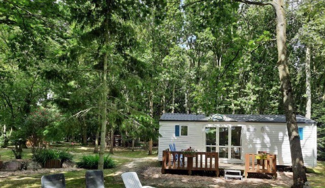 Charming mobile home surrounded by nature in the heart of the Côtes d'Armor.