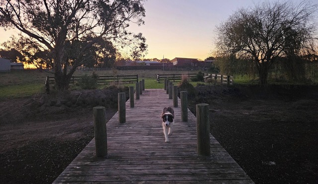 Charming modern 3-bedroom guest house in Moriac