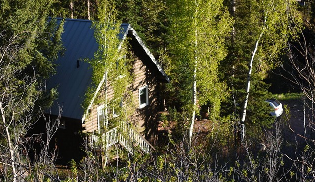 Charming, Modern Cabin-A house in Vail all to yourself!