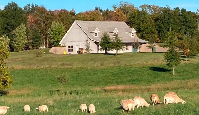 Charming modern farmhouse - four miles from WSRC