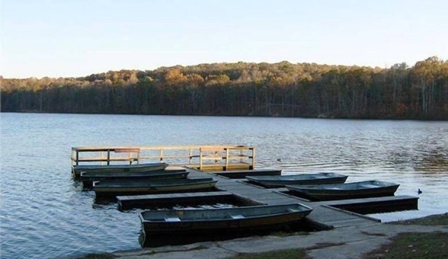 Charming New 1-bedroom apartment 15 minutes from downtown Atlanta