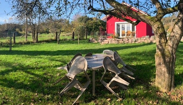 Charming New Home with Fishing Pond, Terrace & Nearby Nature Trails in Moyenmoutier