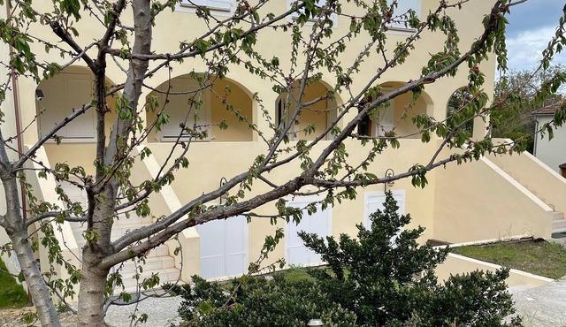 Charming new T3 apartment in private property