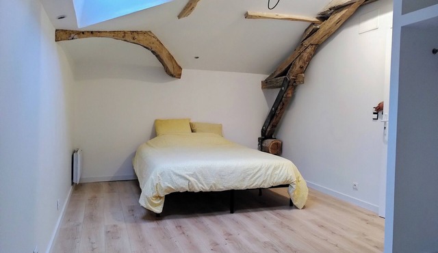 Charming newly-converted 2-bedroom cottage in the heart of south-west France